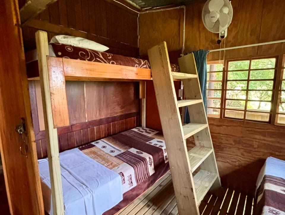 A bunk bed inside the Kanaan backpackers dorm — pine-clad walls, big windows looking out into the trees, a ceiling fan.