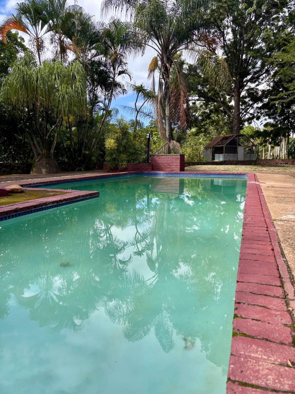 The swimming pool at Kanaan Guest Farm, framed by palms and a brick-paved deck.