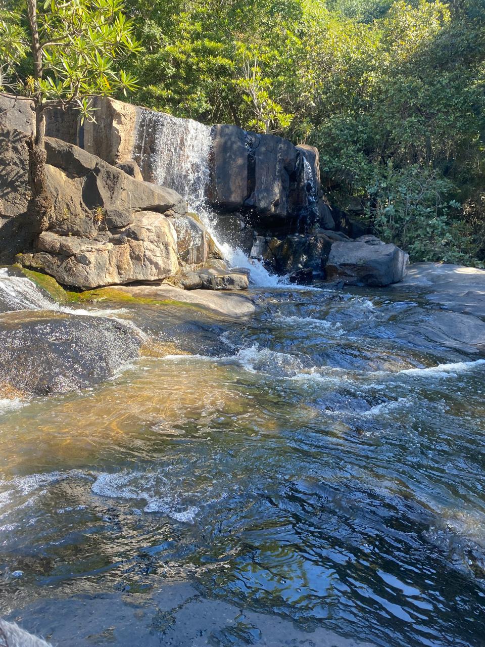 A waterfall in the Sabie waterfall cluster near Hazyview — clear pools and a short forest walk in.