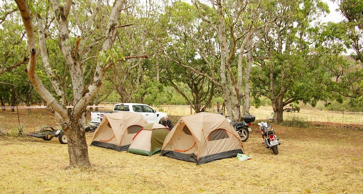 Tents pitched at Kanaan under the forty-year-old mango grove — a vehicle, a motorbike and the open lawn beyond.