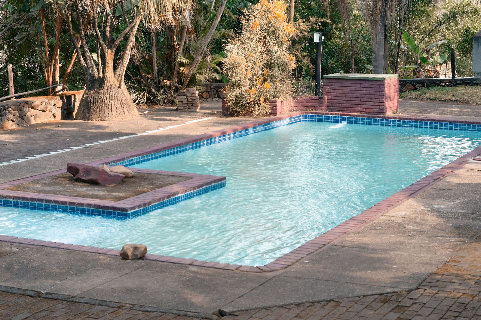 The swimming pool at Kanaan — clear blue water, a brick surround and palms and old trees standing over it.