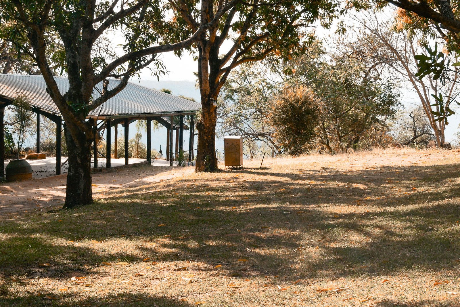 The covered venue at Kanaan — a long open-sided roof standing on the lawn under the mango trees.