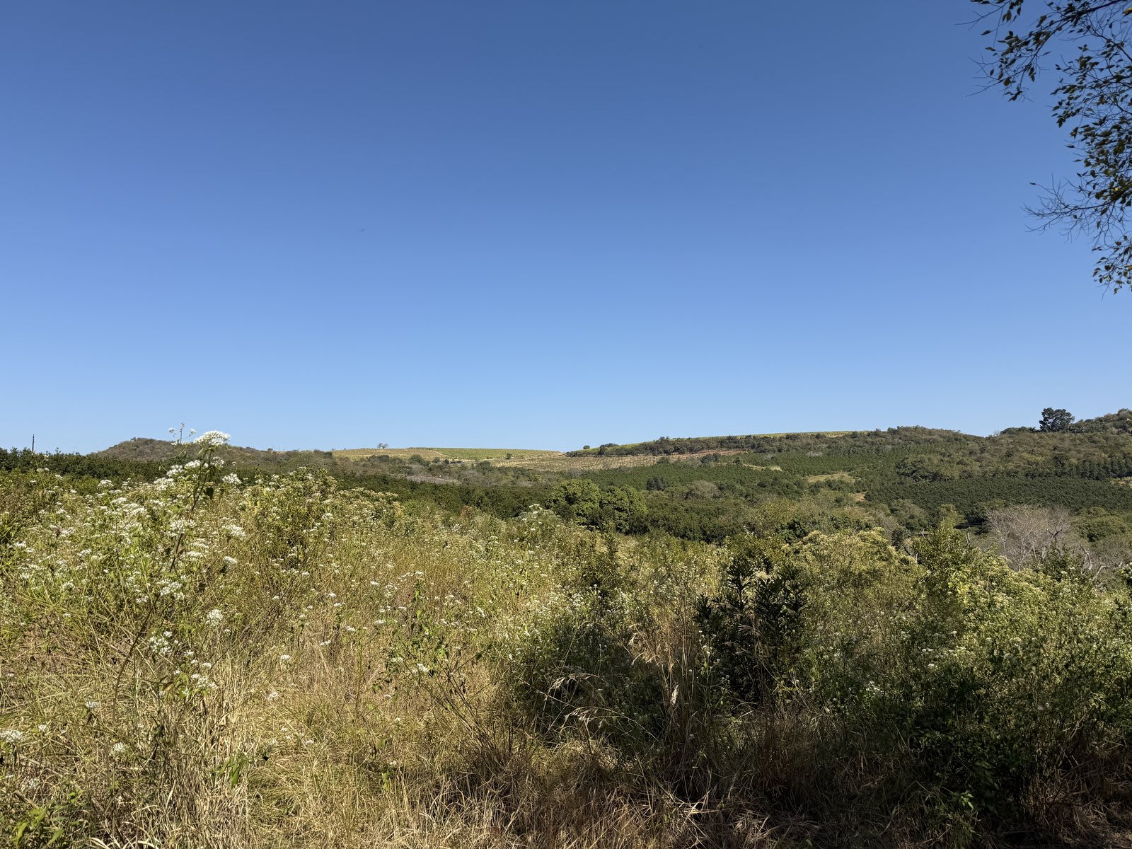 A rustic wooden cabin on a hillside above Kanaan — the kind of view that opens up on the farm's hiking and mountain-biking trails.